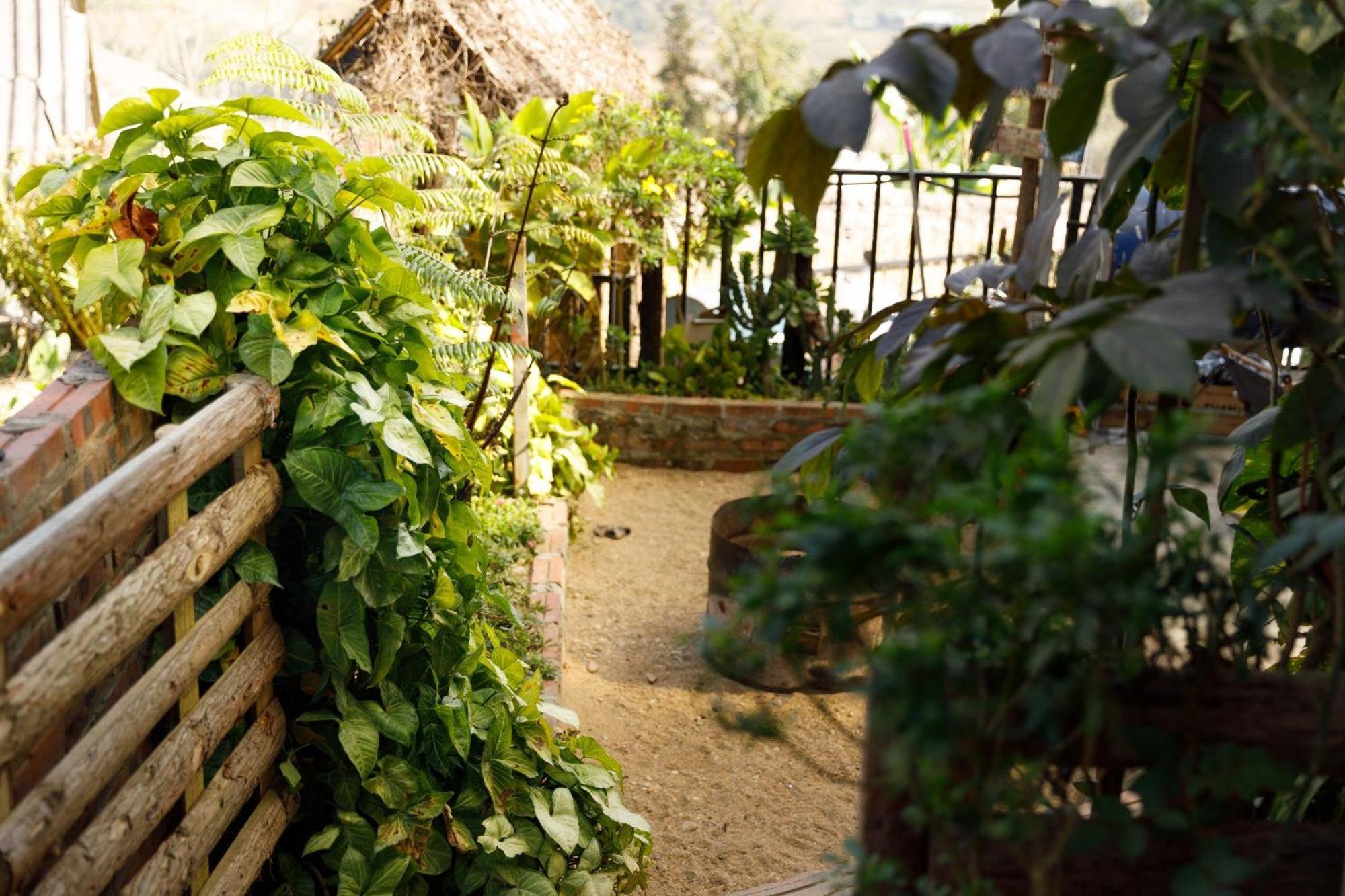 Sapa Plum Eco House Hotel Kültér fotó